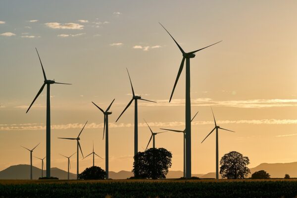 Wind Power Takes Center Stage: Driving the Transition to Renewable Energy