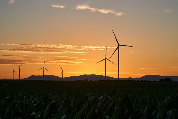 From Sun to Wind: Why Invest in Renewable Energy Offers Bright Prospects