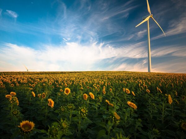 From Solar Panels to Wind Turbines: How Renewable Energy Technologies are Shaping the Future