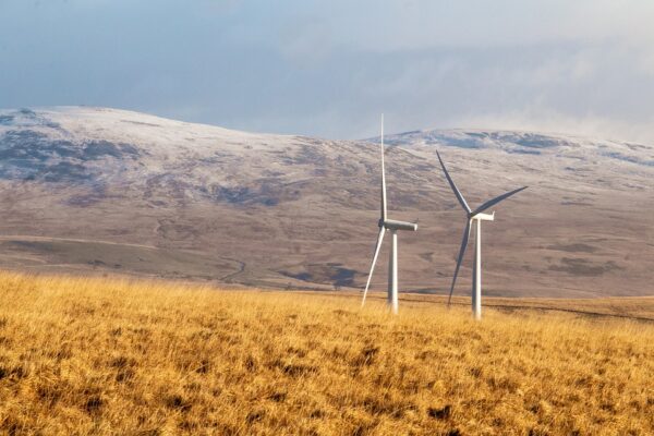 Renewable Energy Policies in Focus: Key Strategies for a Low-Carbon Future