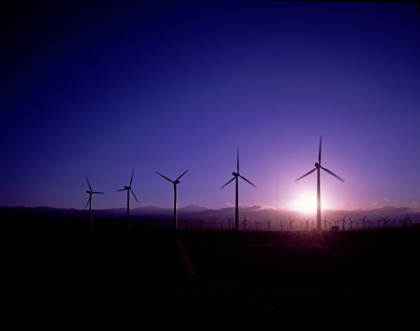 Renewable Energy Policies: A Key Driver in the Fight Against Climate Change