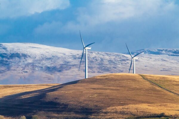The Economic Impact of Investing in Renewable Resources