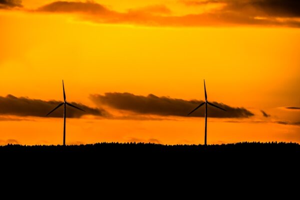From Sunlight to Wind: The Diverse World of Renewable Resources